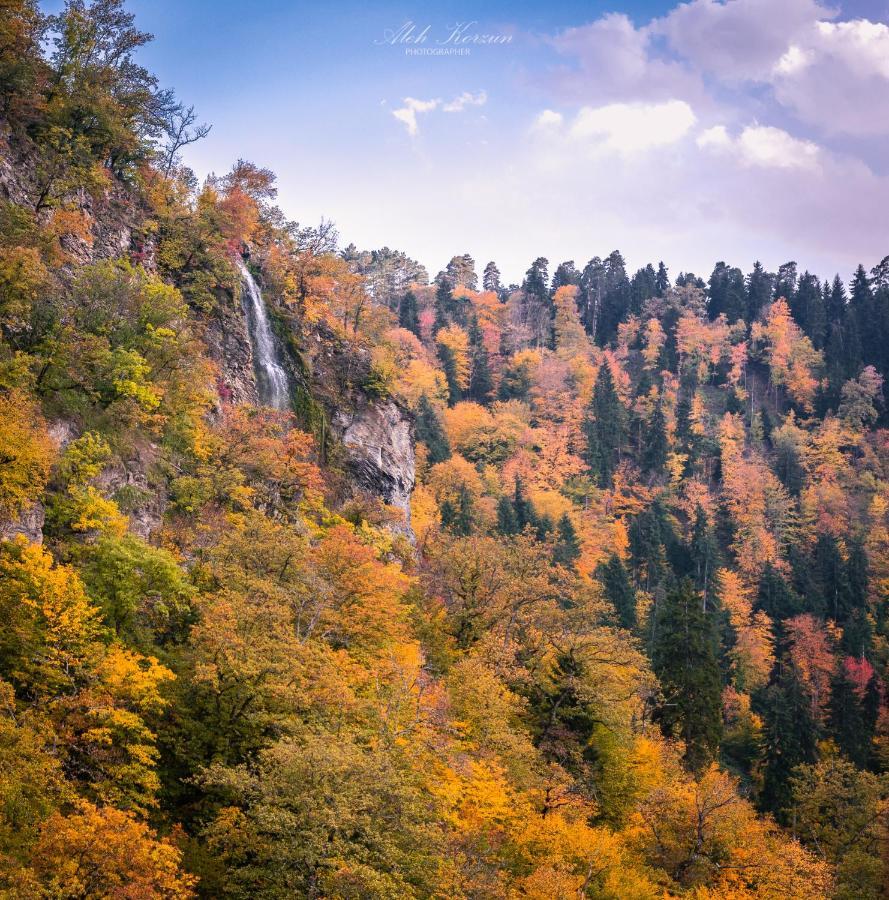 Day In Borjomi Διαμέρισμα Εξωτερικό φωτογραφία