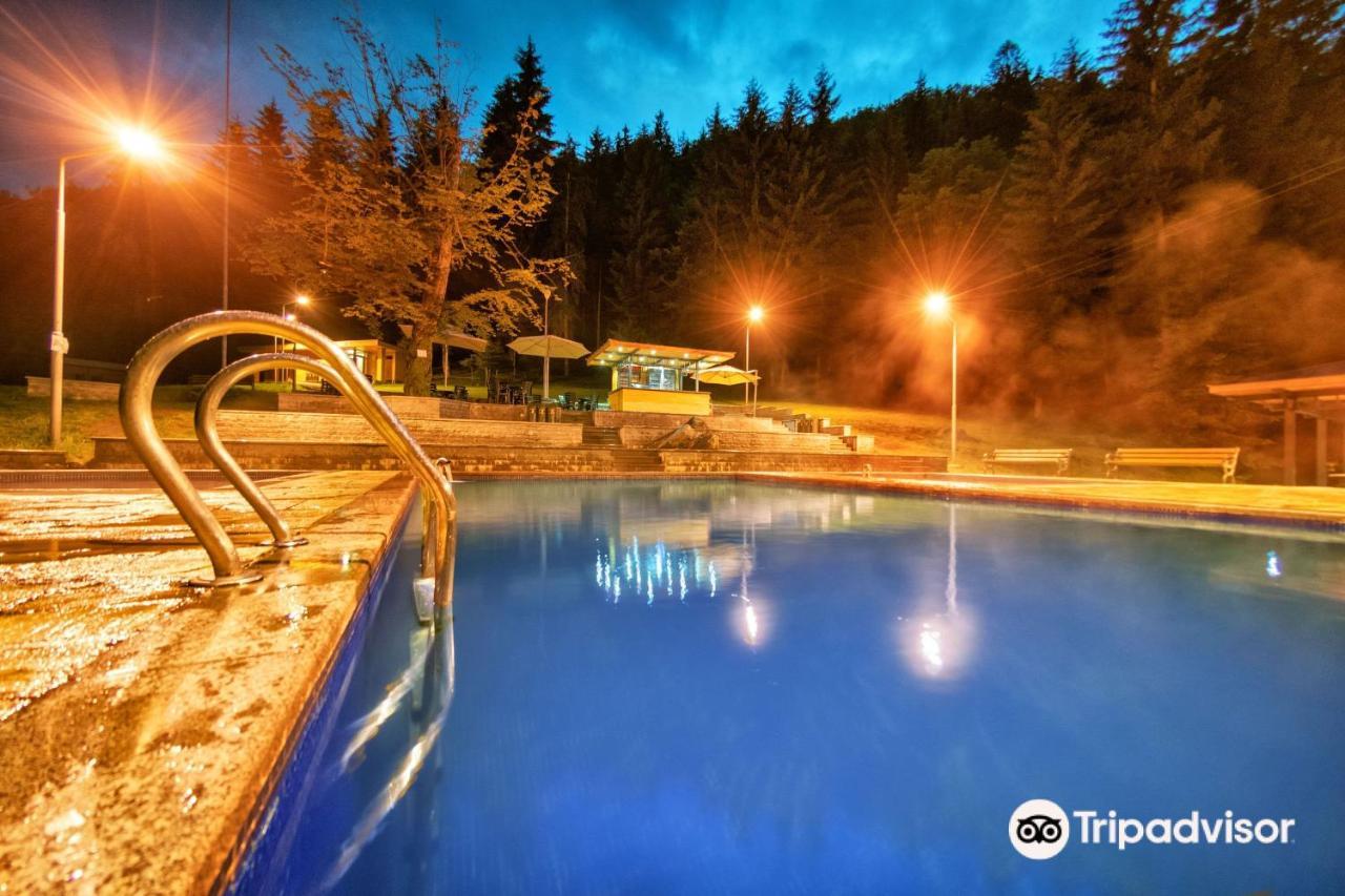 Day In Borjomi Διαμέρισμα Εξωτερικό φωτογραφία